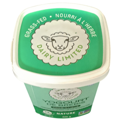D400: 400ml IML Plastik Yoğurt Kabı 8 D400: 400ml IML Plastik Yoğurt Kabı 3 - D400 Bestbaa 3