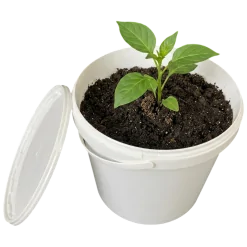 DYK12500 – 12,5 LT UV Dayanıklı Plastik Kova 8 DYK12500 – 12,5 LT UV Dayanıklı Plastik Kova 1 - DYK12500 125 LT KOVA 6