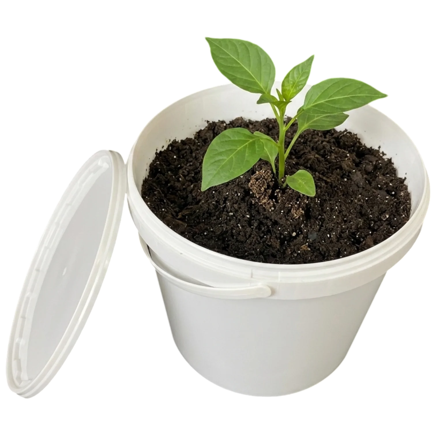 DYK12500 – 12,5 LT UV Dayanıklı Plastik Kova 2 DYK12500 – 12,5 LT UV Dayanıklı Plastik Kova - Görsel 2