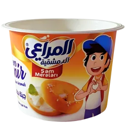 DYF090: 90ml Folyolanabilir Küçük Yuvarlak Plastik Kap